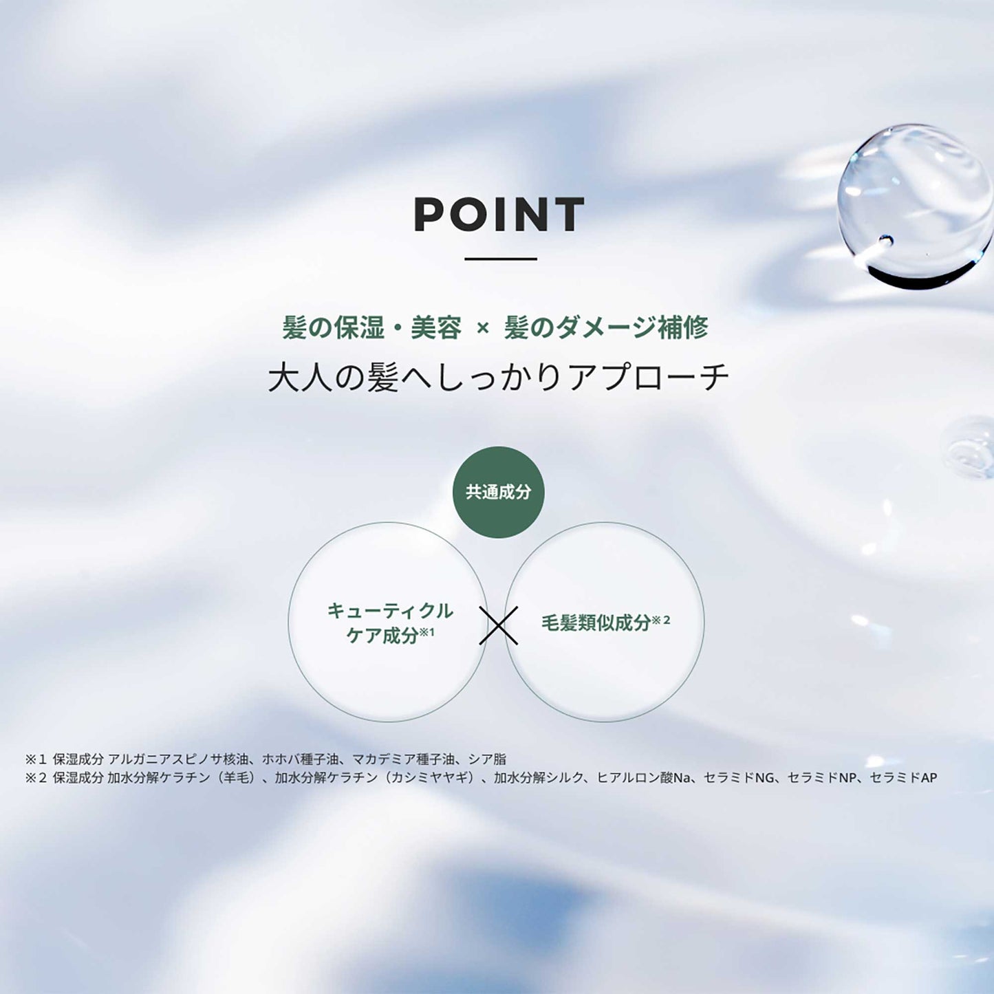 プロモニー 1ライト 90g
